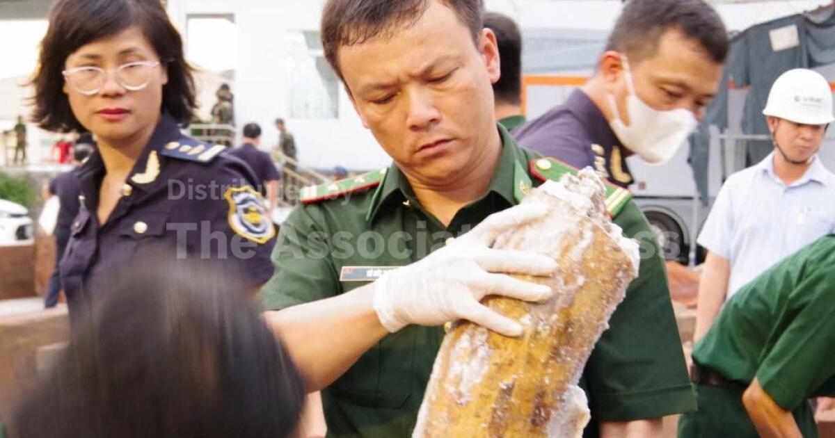 Authorities in Vietnam discover more than a ton of concealed ivory illegally shipped from Africa