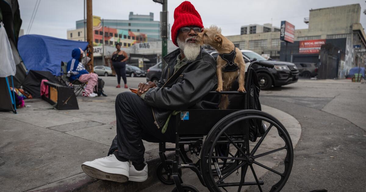 An accounting glitch caused nearly half of L.A.’s increase in the homeless count