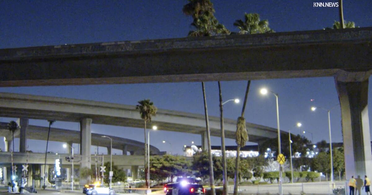 Motorcyclist takes fatal fall over edge of 105/110 freeway interchange in Los Angeles