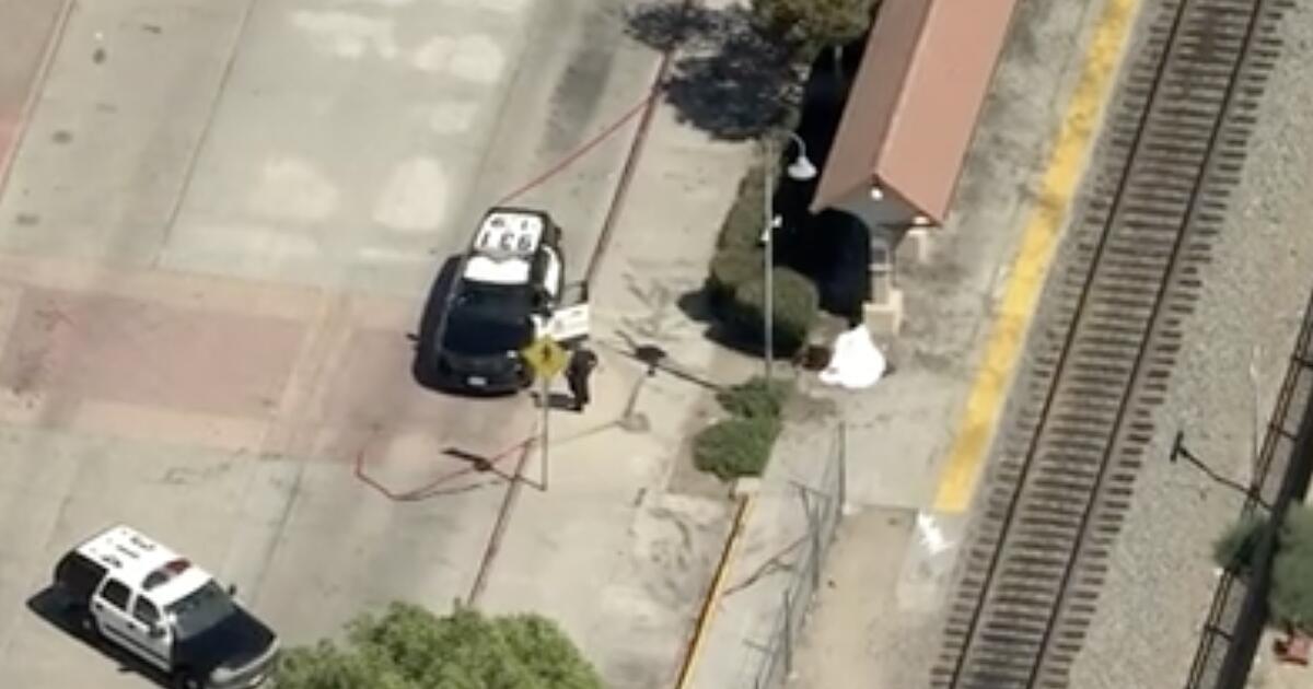 Man stabbed to death on Metrolink platform in San Fernando Valley