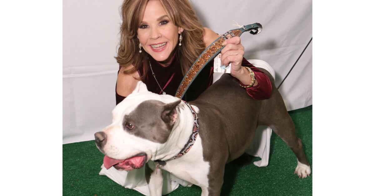 ‘The Exorcist’ actor Linda Blair’s home and dog kennels searched by L.A. County officials