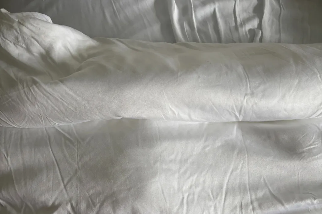 Cozy Earth comforter