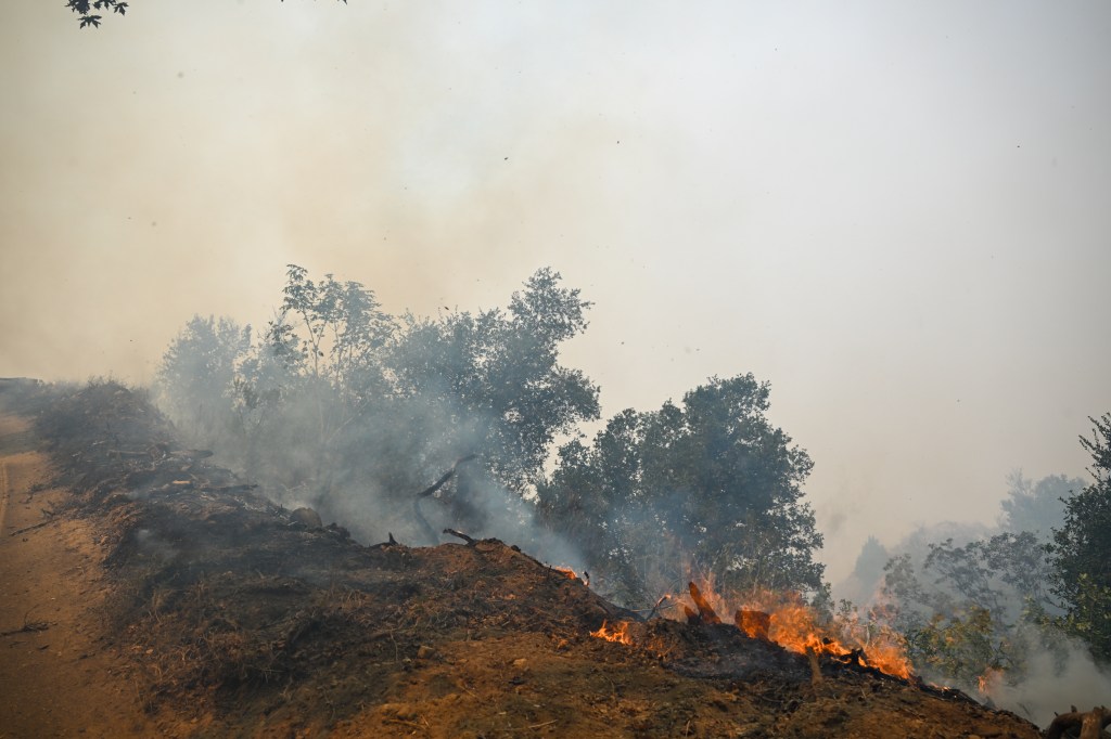 Flames and smoke rise from the Timber Fire in Big Sur, California.