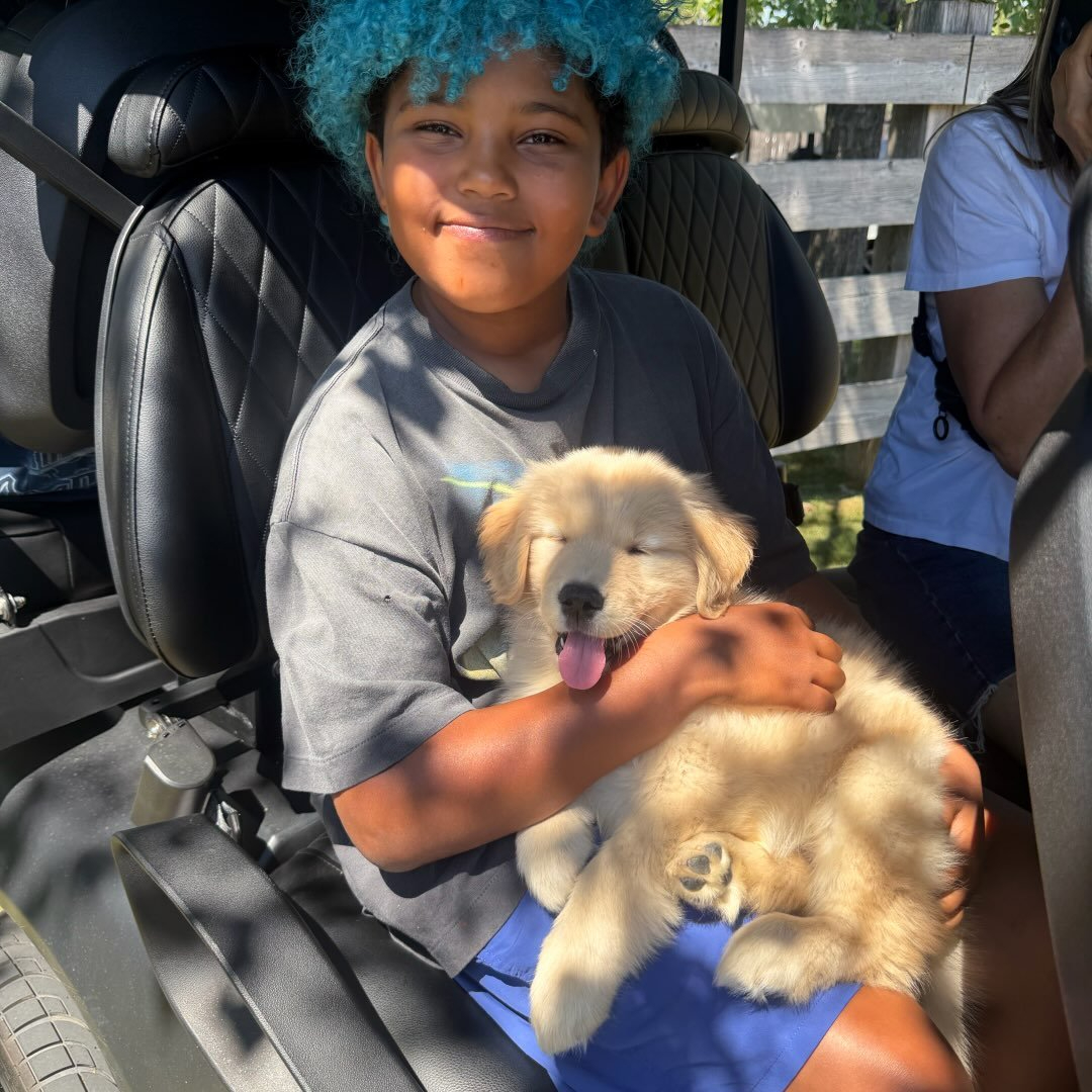 Saint West in a golf cart holding a golden retriever puppy.